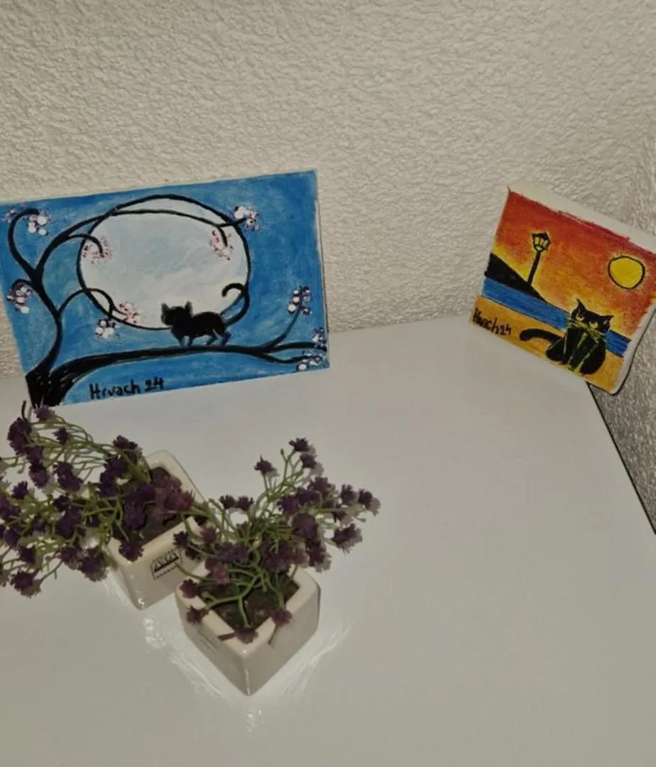 Cityheart-Rooms Zadar Privatunterkunft